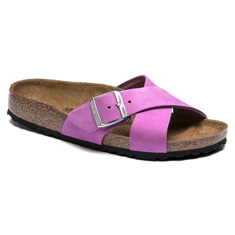 Birkenstock Siena Nubuck Leather Two Strap Sandals Purple | 9GcU5RLRC2f